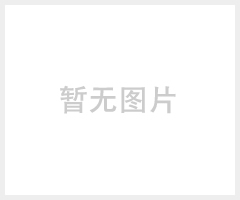 新疆畅森 体育木地板厂家（cs-336）